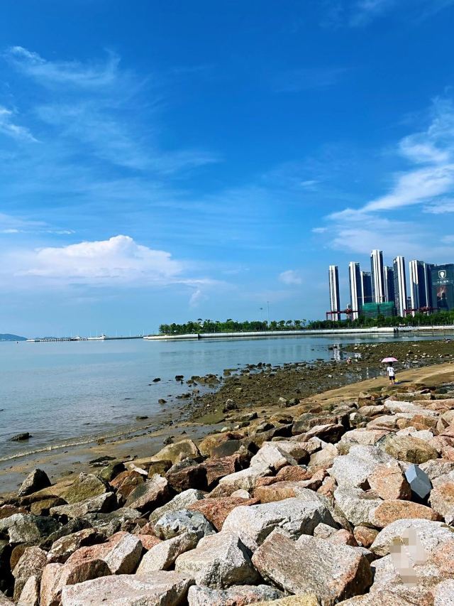 深圳北站深圳蛇口口岸接送服务
